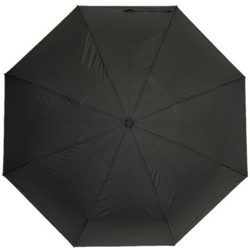 Зонт Susino 33050AC
