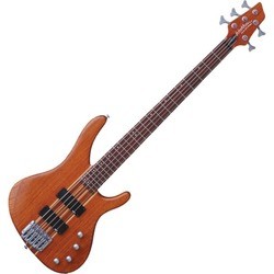 Гитара Washburn Force 5