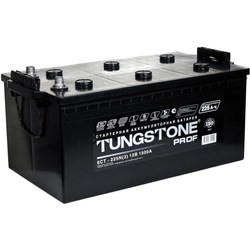 Автоаккумулятор Tungstone Prof (6CT-210L)