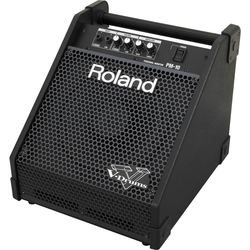 Акустическая система Roland PM-10
